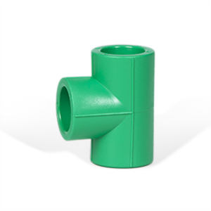 Cút T – loại đồng cỡ