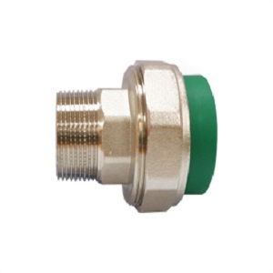 Zắc co ren ngoài PP-R Europipe